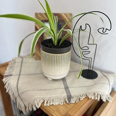 Family-friendly 2-bedroom Free Parking Daire Narva